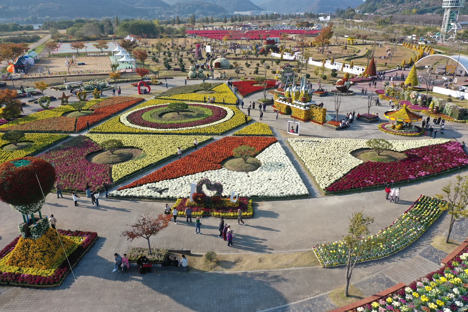 2025년 양산국화축제2