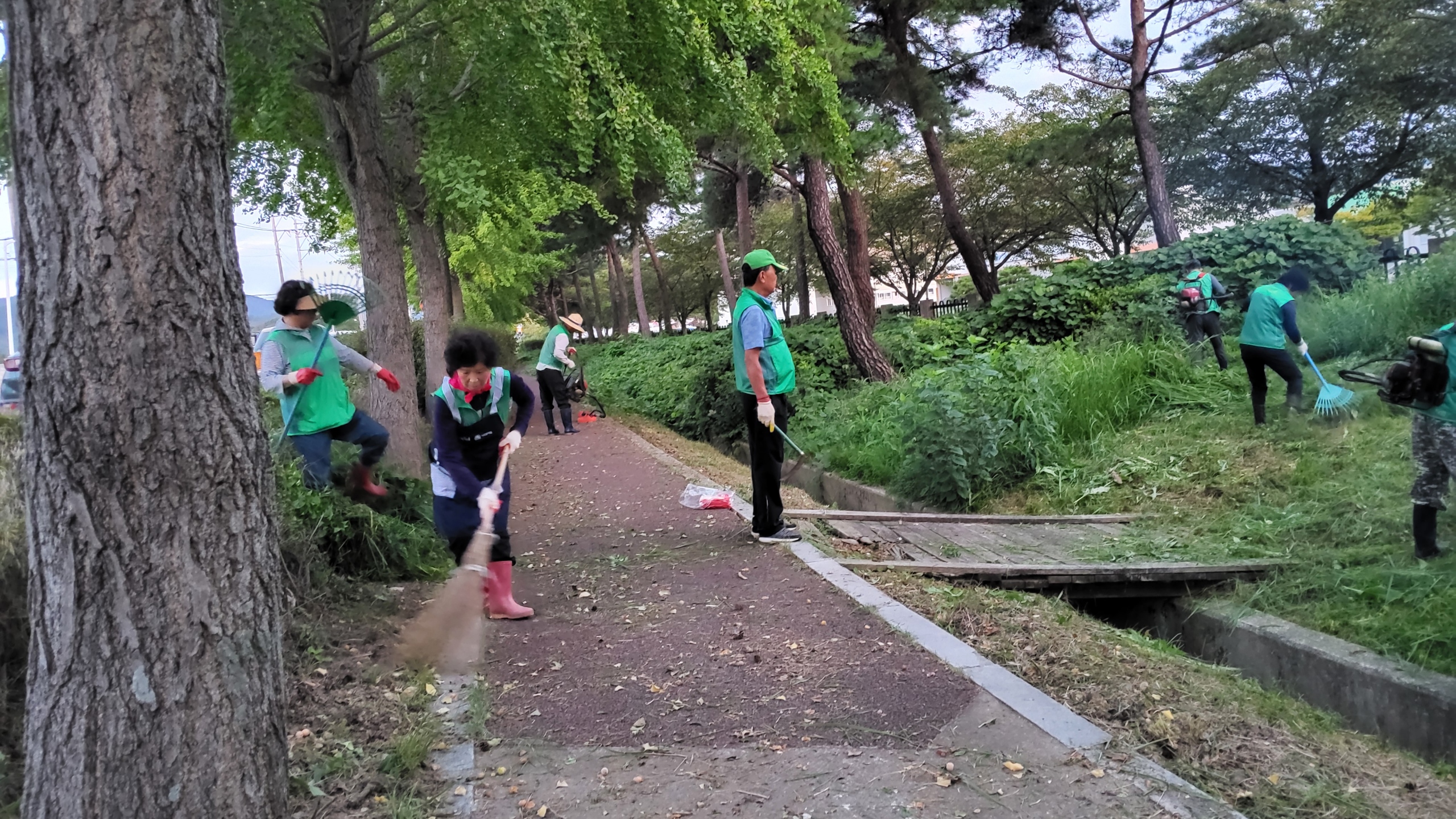 고성읍 새마을회, 새마을동산 및 자전거도로 풀베기 봉사 활동 [고성읍] 1