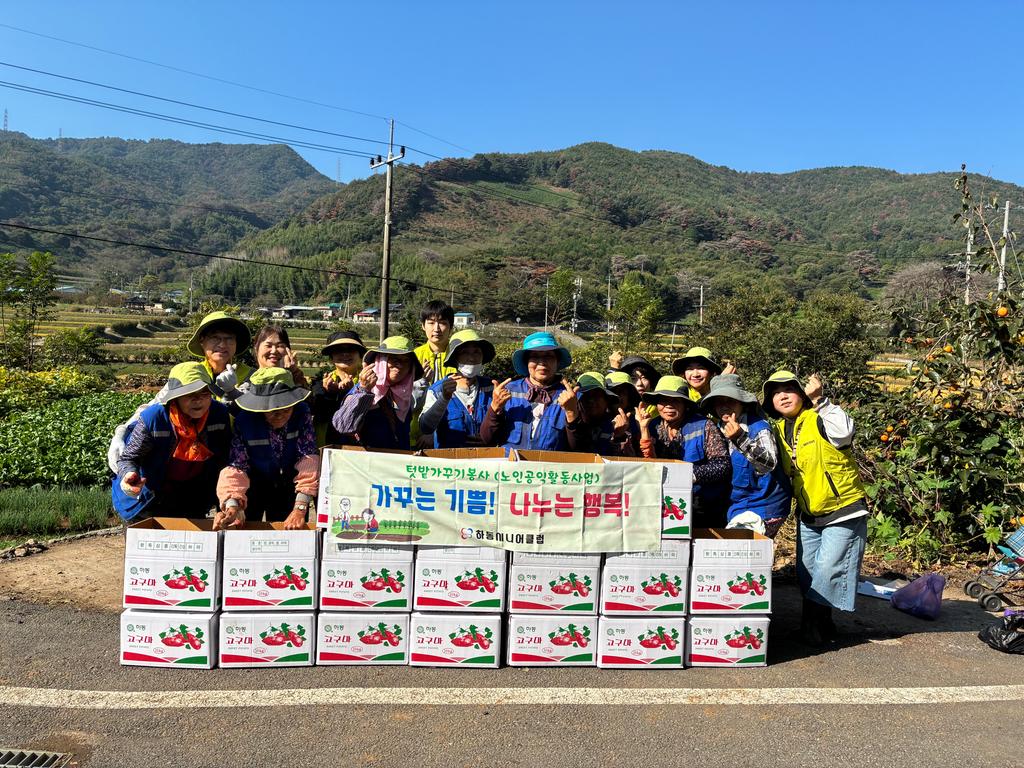 하동시니어클럽, ‘텃밭 가꾸기 봉사’고구마 수확으로 온정 나눠 공식 보도사진