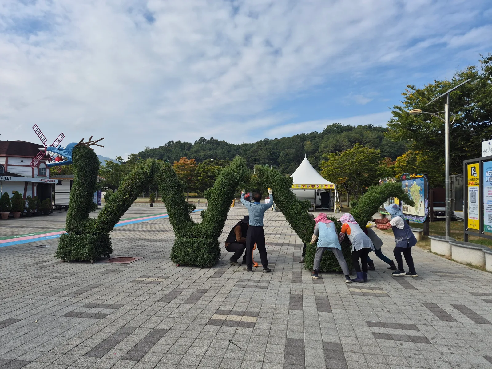 [거창군]26.10. 13.보도자료(거창창포원 백만송이 가을 국화전시회 앞두고 막바지 단장‘구슬땀’)1