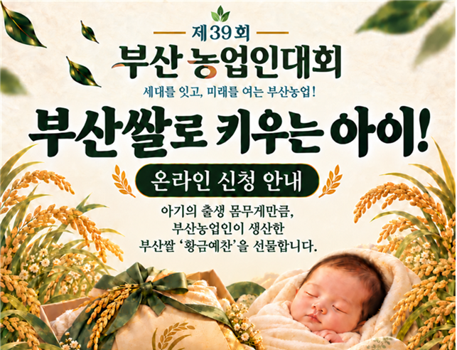 참고사진3