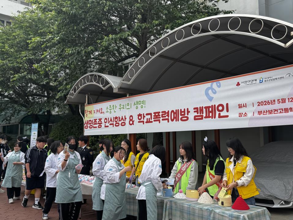 참고사진9