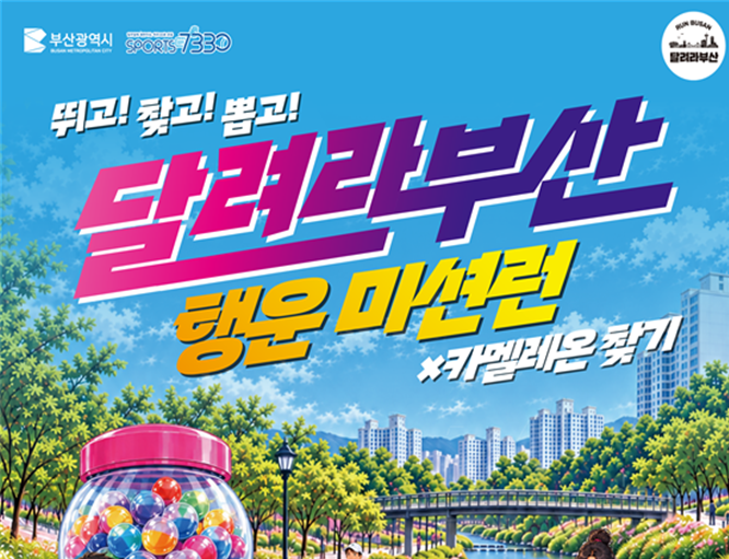 참고사진5