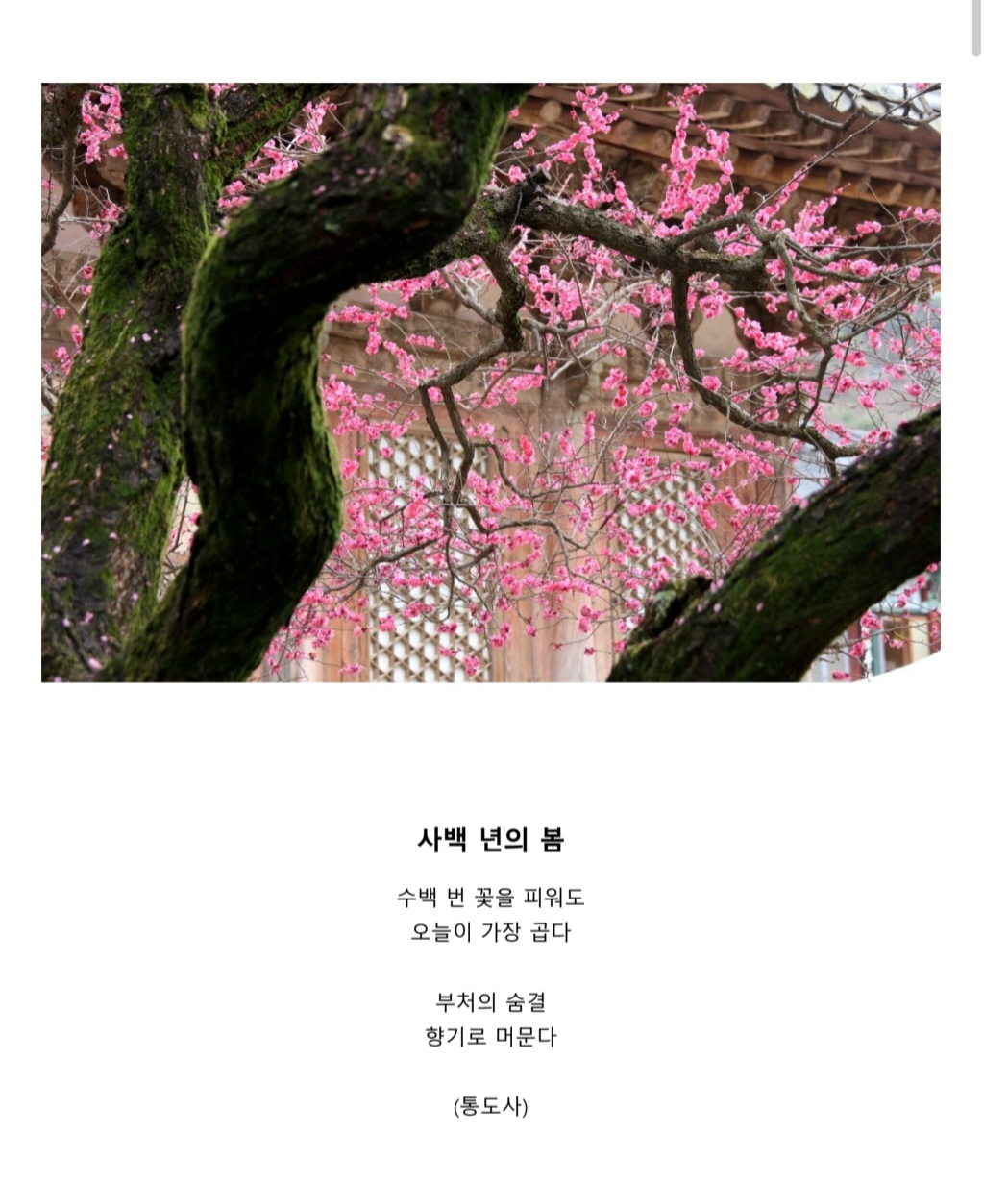 전국디카시공모전 최우수 수상작