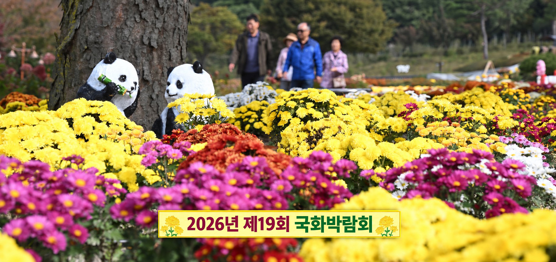 [거창군]26.10. 8.보도자료( 거창사건추모공원 가을의 절정국화로 피어나다”)