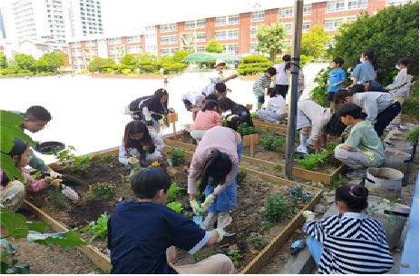 우리 학교 텃밭이 달라졌어요! 부산시, '맞춤형 학교텃밭 컨설팅' 추진(1)