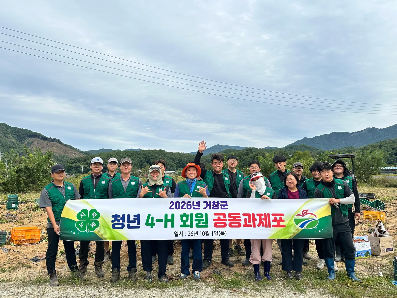 [거창군]26.10. 1.보도자료(거창군 4H연합회 공동과제포 고구마 수확)